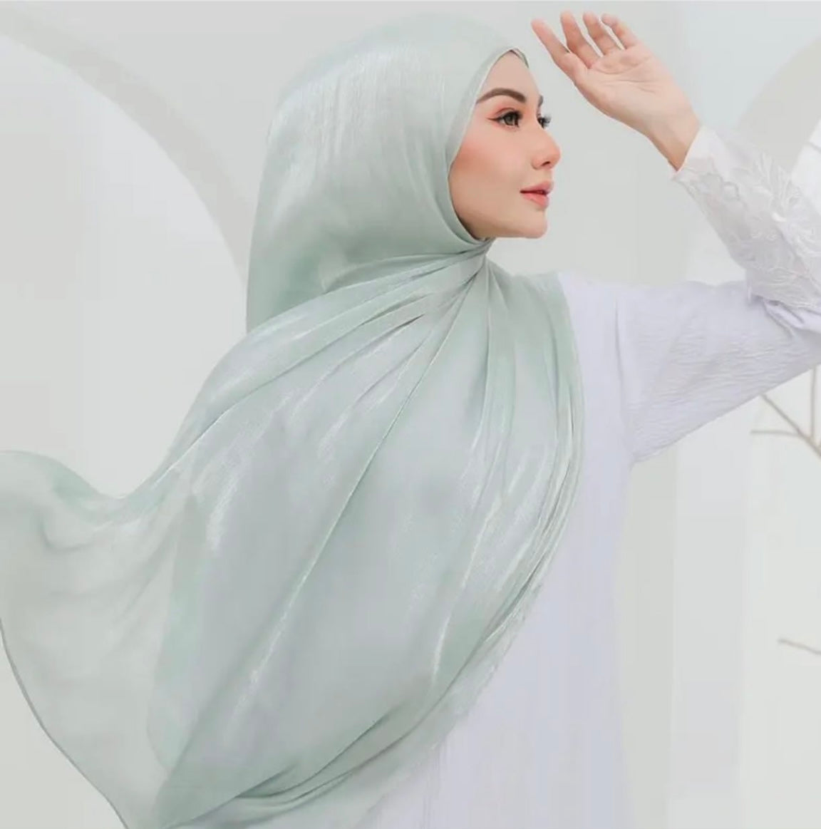 Shimmer Organza Hijab